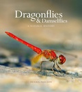 Cover: Dragonflies & Damselfies - Ivy Press