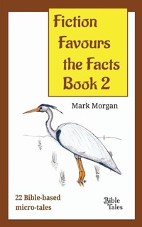 Enlarge image Cover: Fiction Favours the Facts - Book 2 - Bible Tales Online