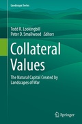 Cover: Collateral Values - Springer