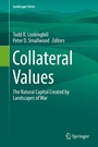 Cover: Collateral Values - Springer