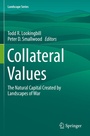 Cover: Collateral Values - Springer