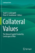 Cover: Collateral Values - Springer