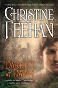 Cover: Darkest at Dawn - Berkley