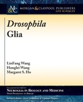 Cover: Drosophila Glia - Morgan & Claypool Publishers
