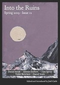 Cover: Into the Ruins - Figuration Press