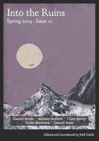 Enlarge image Cover: Into the Ruins - Figuration Press