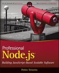 Enlarge image Cover: Professional Node.js - Wrox