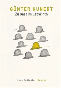Abbildung von: Zu Gast im Labyrinth - Hanser