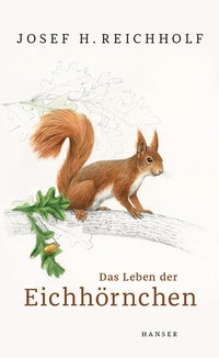 Abbildung von: Das Leben der Eichhörnchen - Hanser