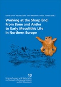 Cover: Working at the Sharp End: - Wachholtz