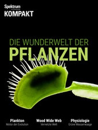 Abbildung von: Spektrum Kompakt - Die Wunderwelt der Pflanzen - Spektrum der Wissenschaft