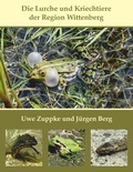 Cover: Die Lurche und Kriechtiere der Region Wittenberg - BoD - Books on Demand