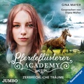 Cover: Pferdefl&uuml;sterer-Academy. Zerbrechliche Tr&auml;ume - Jumbo