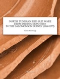 Cover: North Tunisian Red Slip Ware - Peeters Publishers