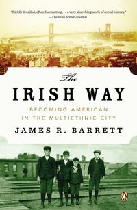 Enlarge image Cover: The Irish Way - Penguin Press