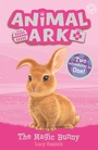Cover: Animal Ark, New 4: The Magic Bunny - Orchard Books
