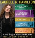Cover: Laurell K. Hamilton's Anita Blake, Vampire Hunter collection 11-15 - Berkley