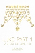 Cover: Luke - 19Baskets, Inc.