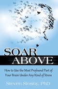 Cover: Soar Above - Simon + Schuster Inc.