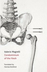 Enlarge image Cover: Condominium of the Flesh - Parlor Press, LLC