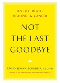 Cover: Not the Last Goodbye - Viking