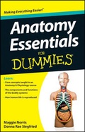 Cover: Anatomy Essentials For Dummies - Wiley