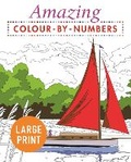 Cover: Amazing Colour-by-Numbers Large Print - Arcturus