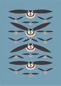 Cover: Flying Puffins A5 Hardback Notebook - Quadrille Publishing Ltd