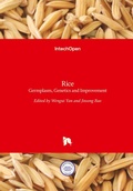 Cover: Rice - In Tech