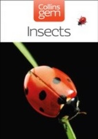 Abbildung von: Insects - Collins
