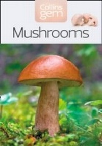Abbildung von: Mushrooms - Collins