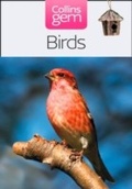Cover: Birds - Collins
