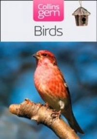 Abbildung von: Birds - Collins