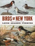 Cover: Birds of New York - Dover Publications Inc.