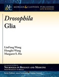Cover: Drosophila Glia - Morgan & Claypool Publishers