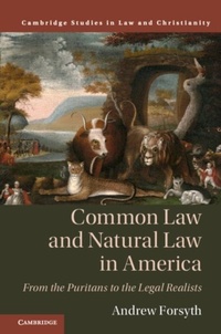 Abbildung von: Common Law and Natural Law in America - Cambridge University Press