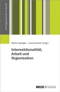 Cover: Intersektionalit&auml;t, Arbeit und Organisation - Beltz eBook