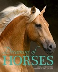 Cover: Dreaming of Horses - Firefly Books Ltd