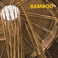 Cover: Bamboo - koenemann.com GmbH