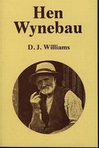 Enlarge image Cover: Hen Wynebau - HarperCollins