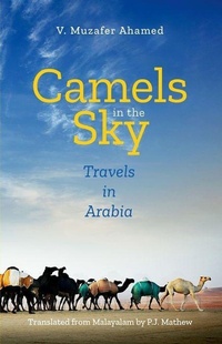 Abbildung von: Camels in the Sky - OUP India