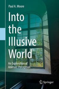 Abbildung von: Into the Illusive World - Springer