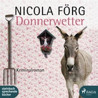 Abbildung von: Donnerwetter - Audio Media