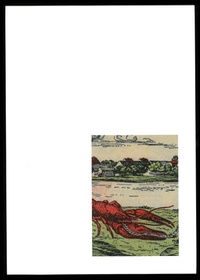 Enlarge image Cover: Fragments of a Crisis - Spector Books