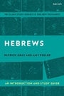 Cover: Hebrews: An Introduction and Study Guide - T.& T.Clark Ltd