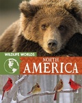 Cover: Wildlife Worlds: North America - Franklin Watts Ltd