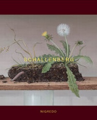 Abbildung von: SCHALLENBERG - Galerie Friedmann-Hahn