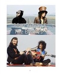 Cover: Marc Bolan and The Beatles! - Blurb