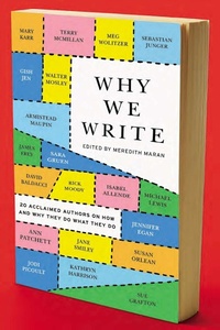Enlarge image Cover: Why We Write - Plume