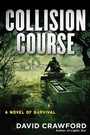 Cover: Collision Course - Berkley